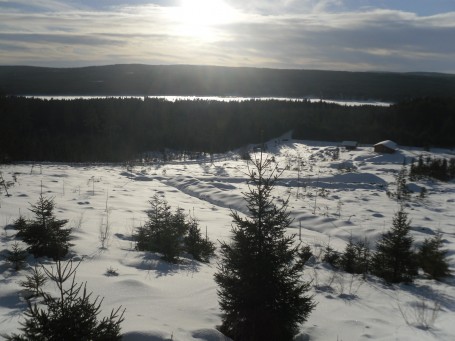 finnskogen-dagbok