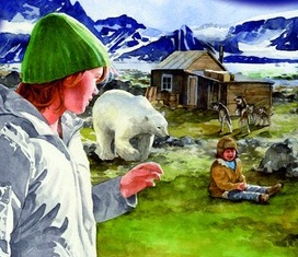 Polarnetter