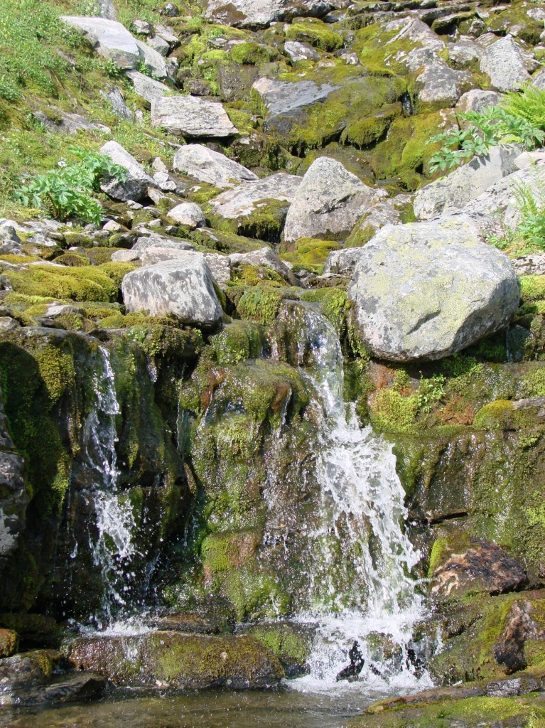 Foss