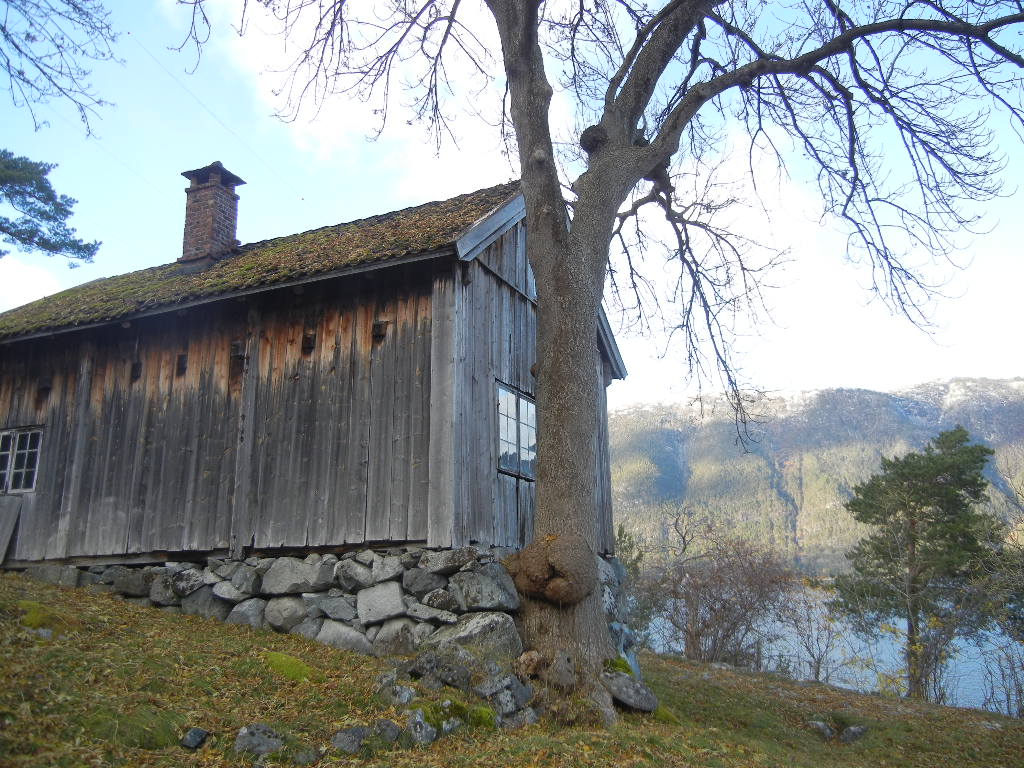 Frønningen
