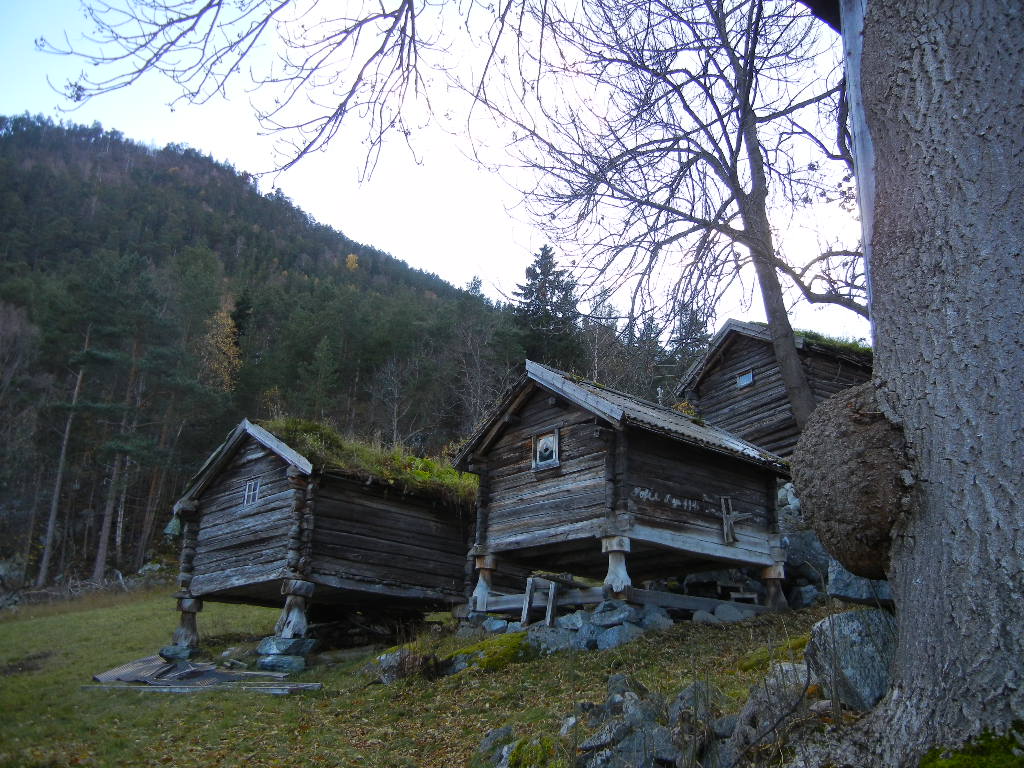 Frønningen