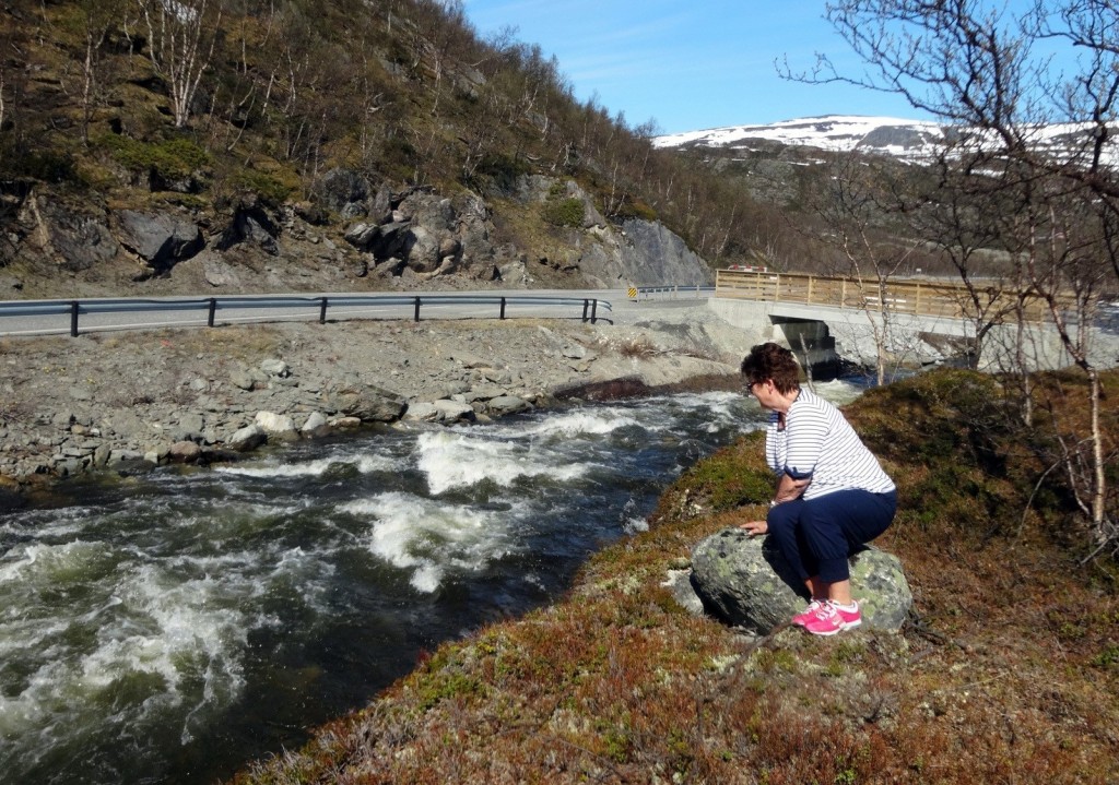 Natur5