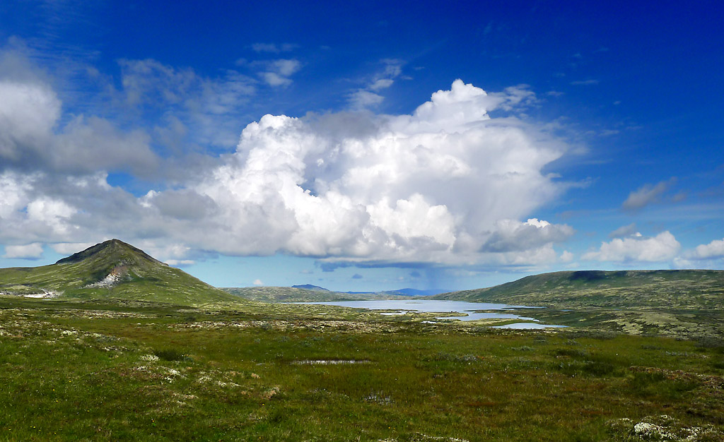 Såttåhaugen, Forollhogna, 2011
