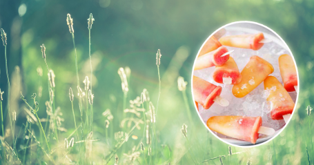 Paletas_topp